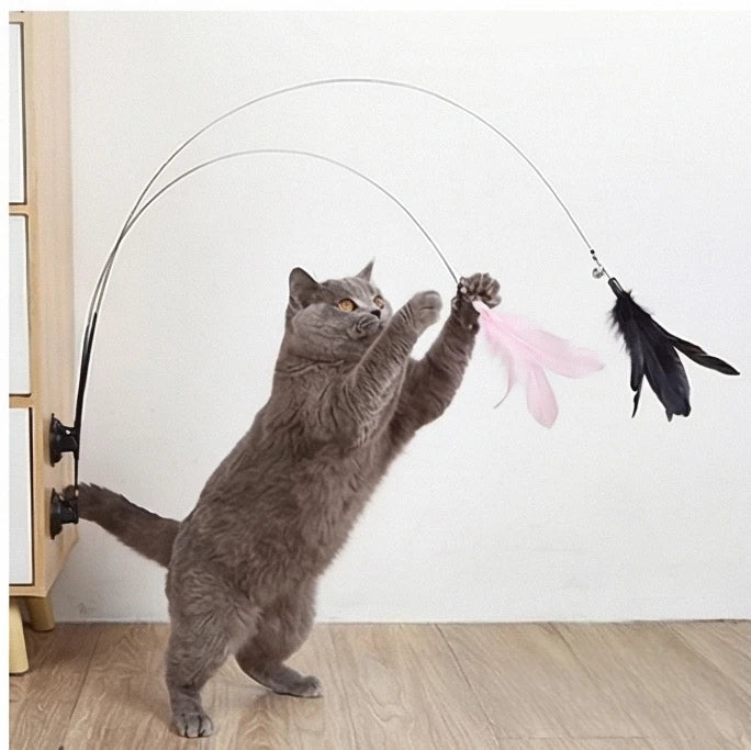 Katzen-Spielangel mit starkem Saugnapf und Wechsel-Federn