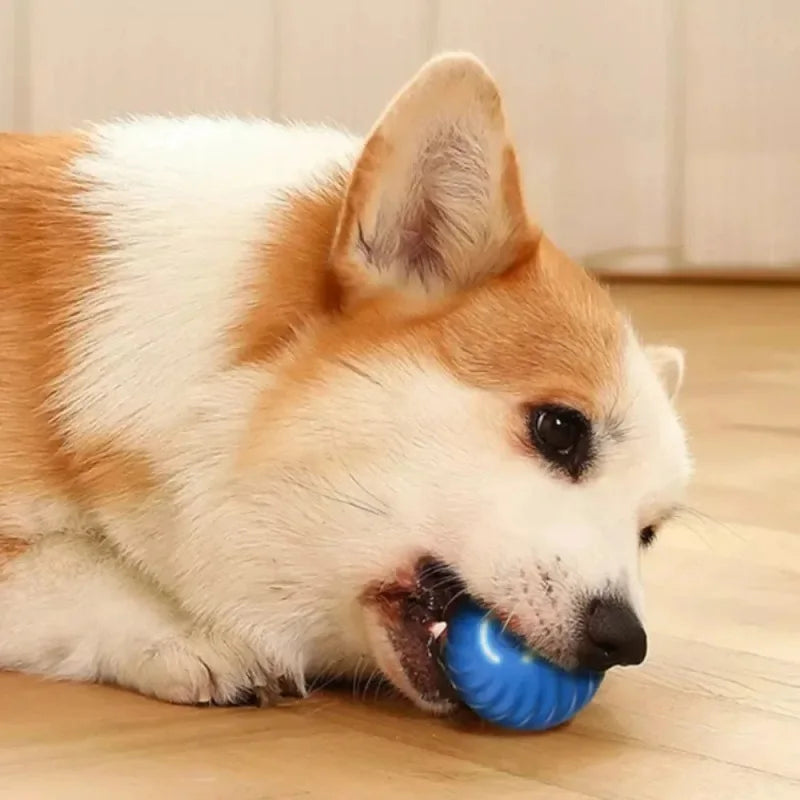 Smart Dog Toys Ball Electronic Interactive Pet Toy Moving Ball USB Automatic Moving Bouncing for Puppy Birthday gift Cat Product